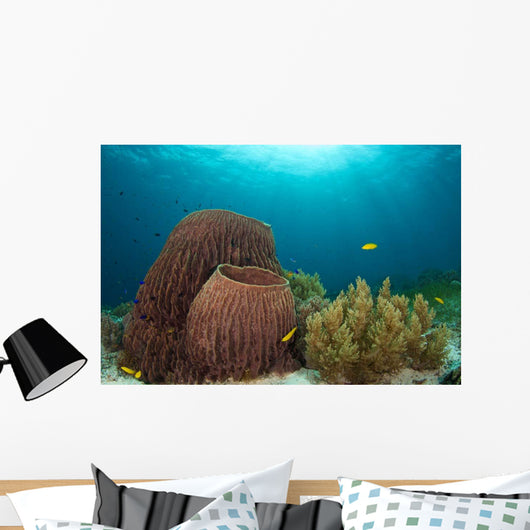 Sponges and Soft Corals Wall Decal