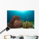 Sponges and Soft Corals Wall Decal