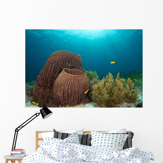 Sponges and Soft Corals Wall Decal