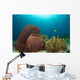 Sponges and Soft Corals Wall Decal
