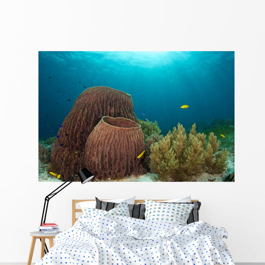 Sponges and Soft Corals Wall Decal