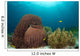 Sponges and Soft Corals Wall Decal