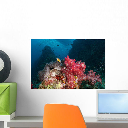 Soft Corals Iconic Dive Wall Decal