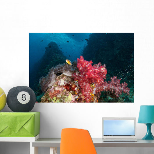 Soft Corals Iconic Dive Wall Decal