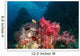 Soft Corals Iconic Dive Wall Decal
