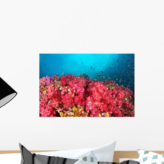 Soft Coral Garden Richelieu Wall Decal