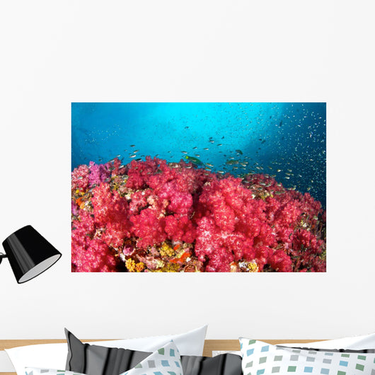 Soft Coral Garden Richelieu Wall Decal