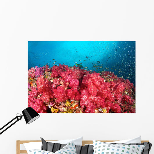 Soft Coral Garden Richelieu Wall Decal