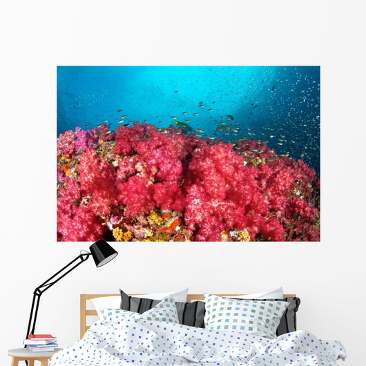 Soft Coral Garden Richelieu Wall Decal