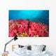 Soft Coral Garden Richelieu Wall Decal