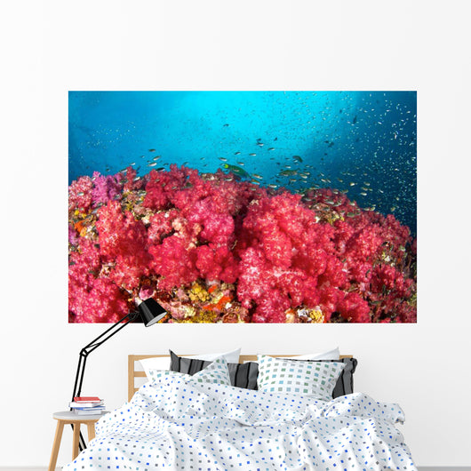 Soft Coral Garden Richelieu Wall Decal