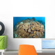 Soft Coral Garden Apo Wall Decal