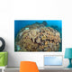 Soft Coral Garden Apo Wall Decal