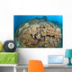 Soft Coral Garden Apo Wall Decal