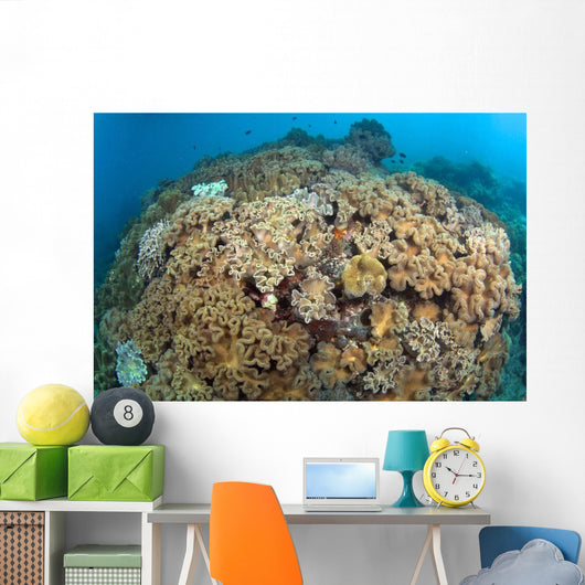 Soft Coral Garden Apo Wall Decal