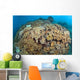 Soft Coral Garden Apo Wall Decal
