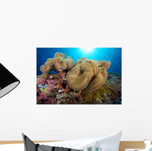 Soft Coral Garden and Wall Decal
