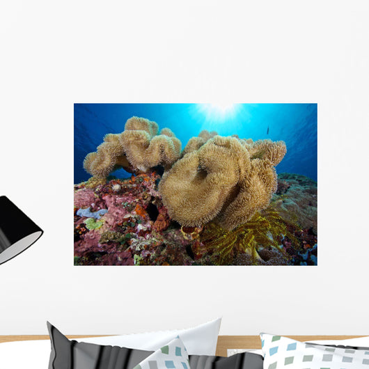 Soft Coral Garden and Wall Decal