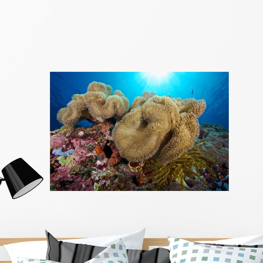 Soft Coral Garden and Wall Decal
