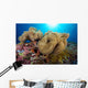 Soft Coral Garden and Wall Decal
