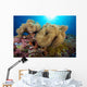 Soft Coral Garden and Wall Decal