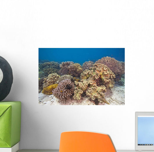 Shallow Soft Coral Garden Wall Decal