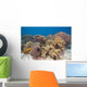 Shallow Soft Coral Garden Wall Decal