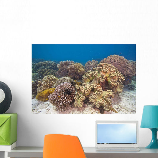 Shallow Soft Coral Garden Wall Decal