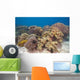 Shallow Soft Coral Garden Wall Decal
