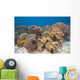 Shallow Soft Coral Garden Wall Decal
