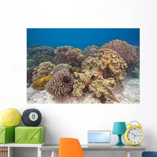 Shallow Soft Coral Garden Wall Decal