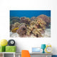 Shallow Soft Coral Garden Wall Decal
