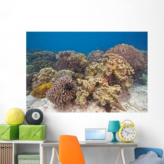 Shallow Soft Coral Garden Wall Decal
