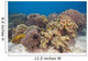Shallow Soft Coral Garden Wall Decal