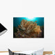Soft Corals Liquid Island Wall Decal