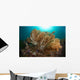 Soft Corals Liquid Island Wall Decal