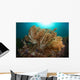 Soft Corals Liquid Island Wall Decal