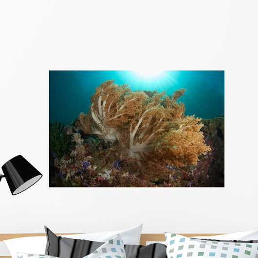 Soft Corals Liquid Island Wall Decal
