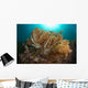 Soft Corals Liquid Island Wall Decal