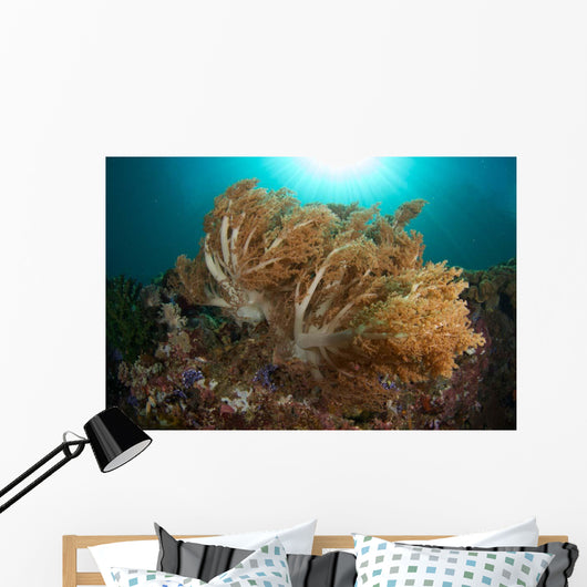Soft Corals Liquid Island Wall Decal