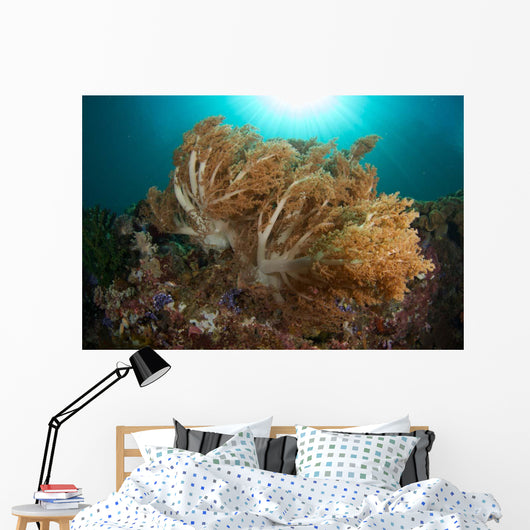 Soft Corals Liquid Island Wall Decal