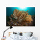 Soft Corals Liquid Island Wall Decal