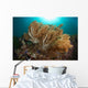 Soft Corals Liquid Island Wall Decal
