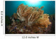 Soft Corals Liquid Island Wall Decal