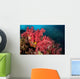 Soft Corals Richelieu Rock Wall Decal