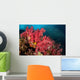 Soft Corals Richelieu Rock Wall Decal