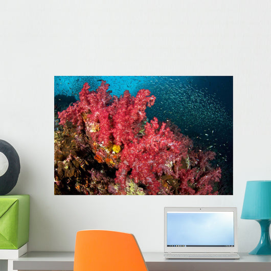 Soft Corals Richelieu Rock Wall Decal