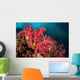 Soft Corals Richelieu Rock Wall Decal
