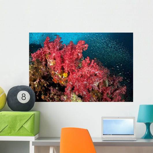 Soft Corals Richelieu Rock Wall Decal