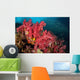 Soft Corals Richelieu Rock Wall Decal